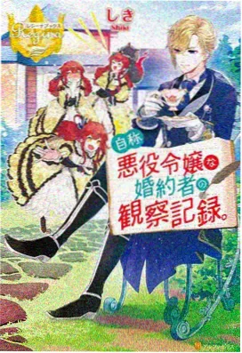 满天星在线观看动漫《风与剑的物语》